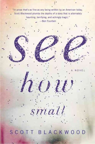 See How Small: A Novel cover