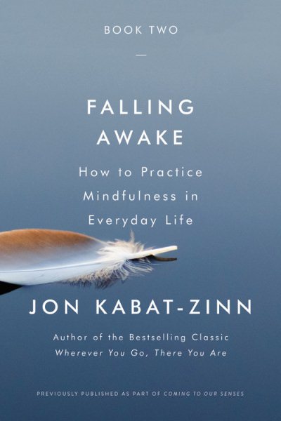 Falling Awake: How to Practice Mindfulness in Everyday Life cover