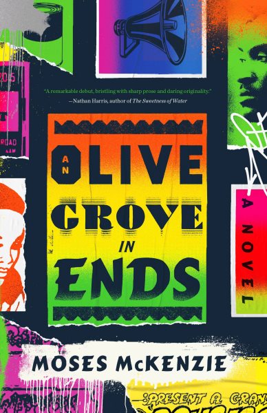 An Olive Grove in Ends cover