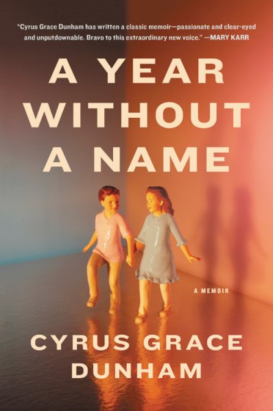 A Year Without a Name: A Memoir cover