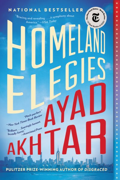Homeland Elegies: A Novel cover