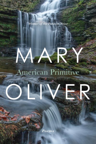 American Primitive cover