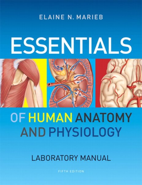 Essentials of Human Anatomy & Physiology cover