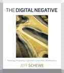The Digital Negative: Raw Image Processing in Lightroom, Camera Raw, and Photoshop cover