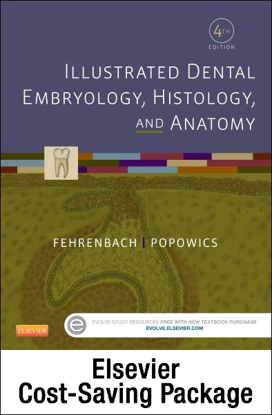 Illustrated Dental Embryology, Histology, and Anatomy - Text and Student Workbook Package cover