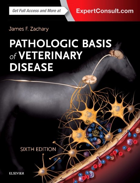 Pathologic Basis of Veterinary Disease Expert Consult cover