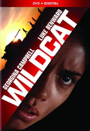 Wildcat cover