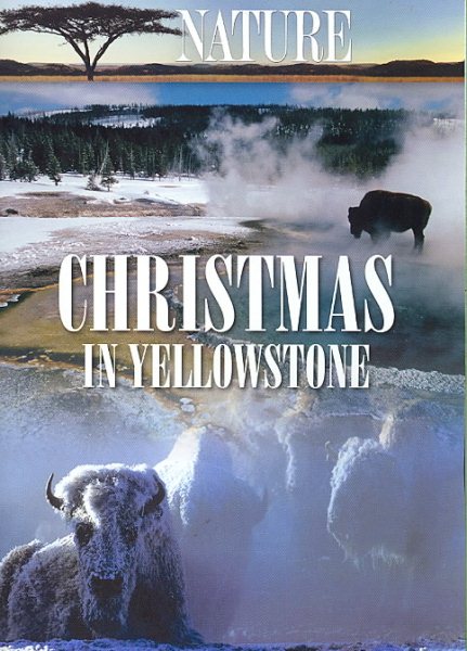 Christmas in Yellowstone cover
