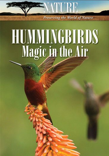 Nature: Hummingbirds - Magic in the Air cover