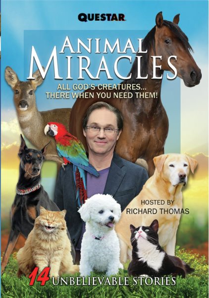 Animal Miracles cover