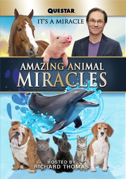 Amazing Animal Miracles cover