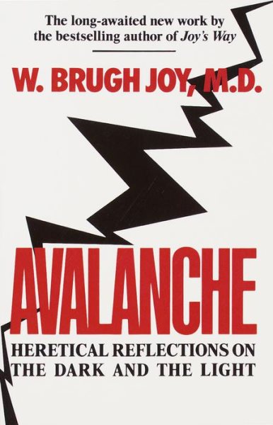 Avalanche: Heretical Reflections on the Dark and the Light cover