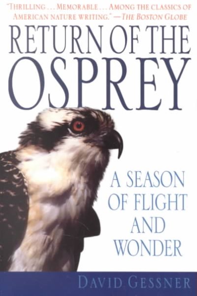 Return of the Osprey: A Season of Flight and Wonder cover