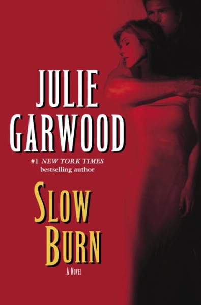Slow Burn: A Novel cover