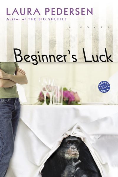 Beginner's Luck: A Novel (Hallie Palmer) cover