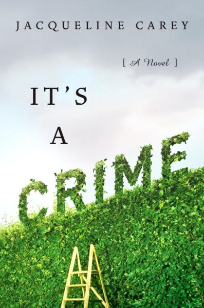 It's a Crime: A Novel cover