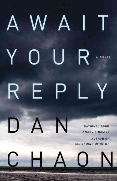 Await Your Reply: A Novel cover