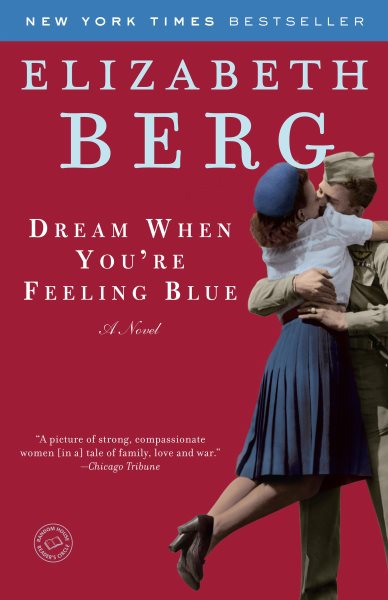 Dream When You're Feeling Blue: A Novel cover