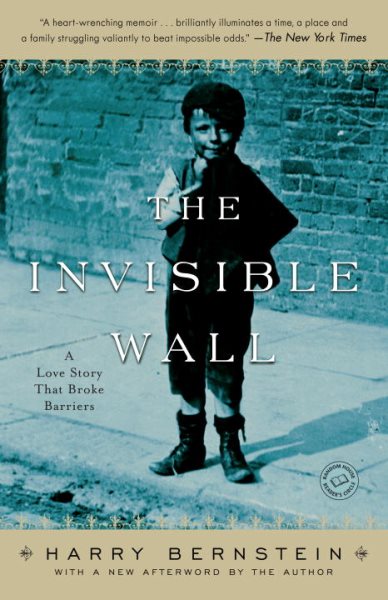 The Invisible Wall: A Love Story That Broke Barriers cover