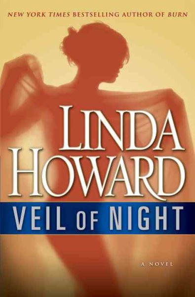 Veil of Night: A Novel cover