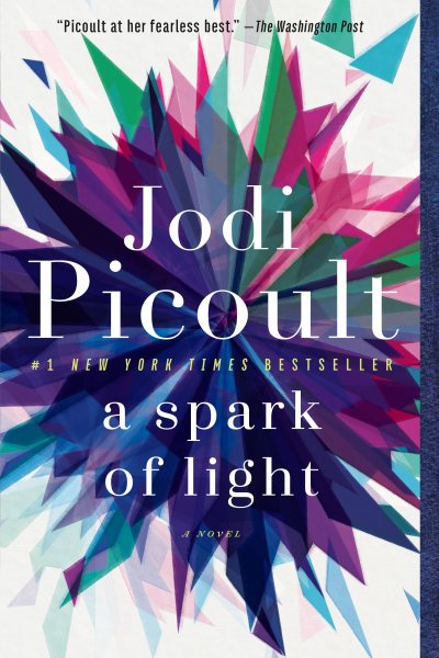 A Spark of Light: A Novel cover