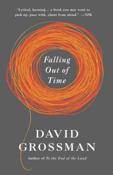 Falling Out of Time (Vintage International)