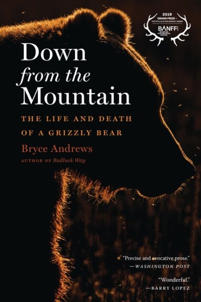 Down From The Mountain: The Life and Death of a Grizzly Bear cover