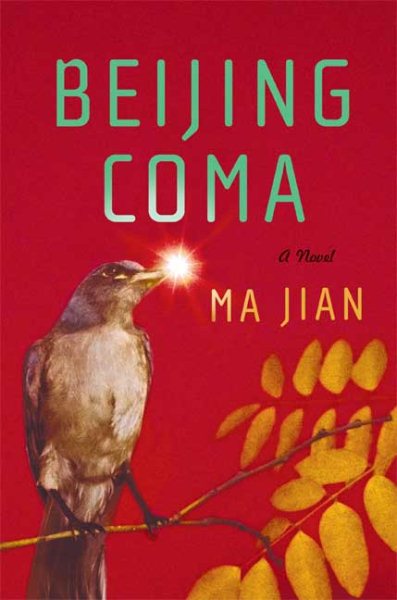 Beijing Coma: A Novel cover