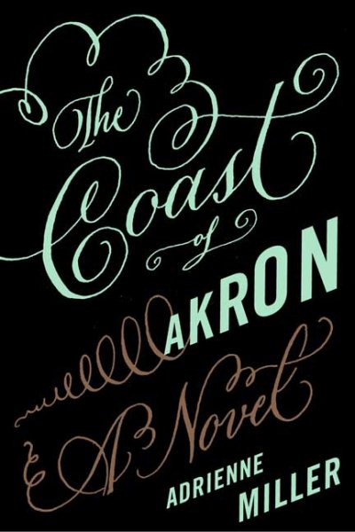 The Coast of Akron: A Novel cover