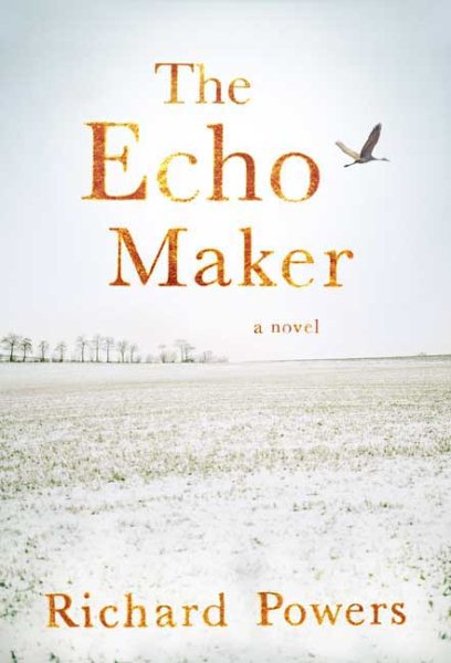The Echo Maker: A Novel cover