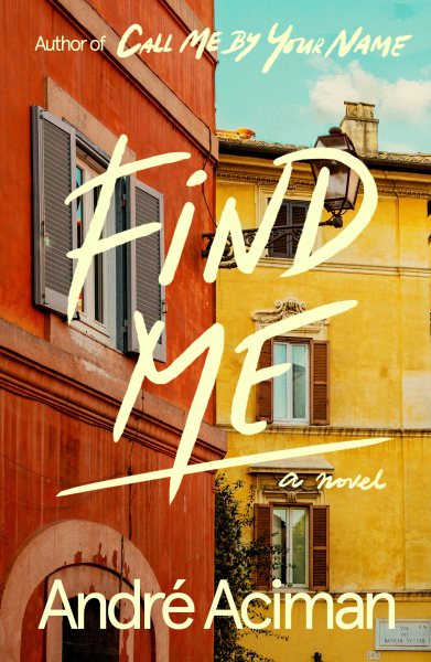 Find Me: A Novel cover
