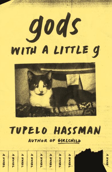 gods with a little g: A Novel cover