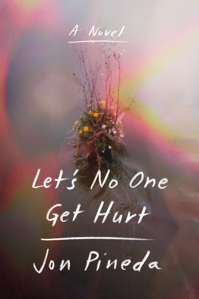 Let's No One Get Hurt: A Novel cover