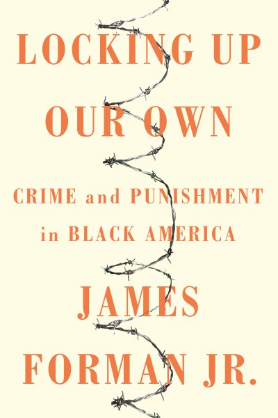 Locking Up Our Own: Crime and Punishment in Black America cover