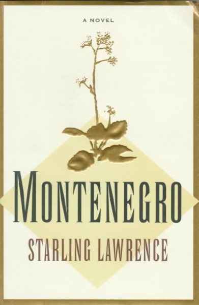Montenegro: A Novel cover