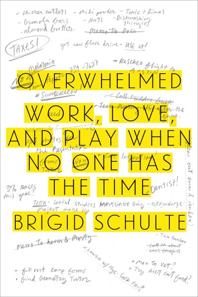 Overwhelmed: Work, Love, and Play When No One Has the Time cover