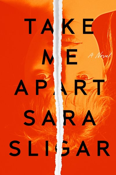 Take Me Apart: A Novel cover