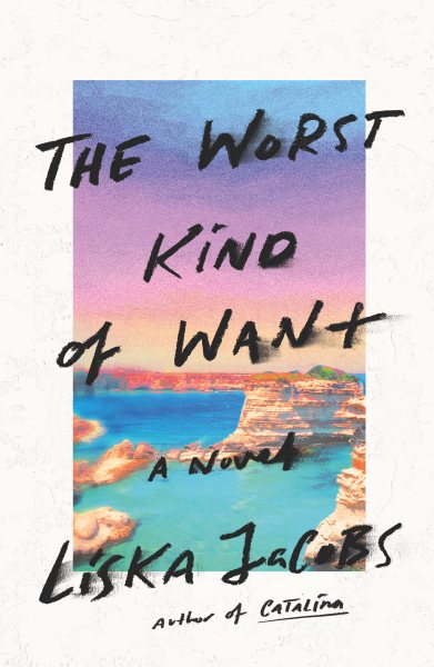 The Worst Kind of Want: A Novel cover