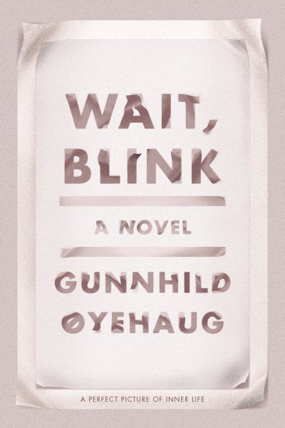 Wait, Blink: A Perfect Picture of Inner Life: A Novel cover