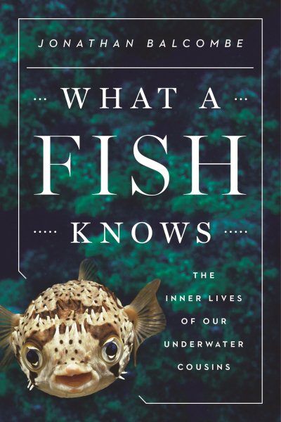 What a Fish Knows: The Inner Lives of Our Underwater Cousins cover