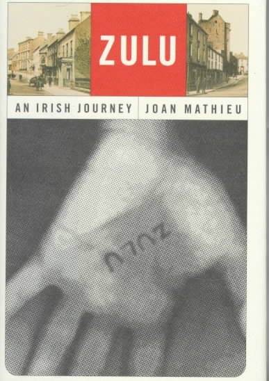 Zulu: An Irish Journey cover