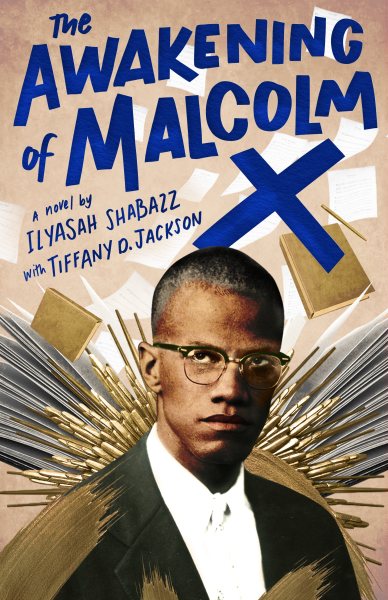 The Awakening of Malcolm X: A Novel cover