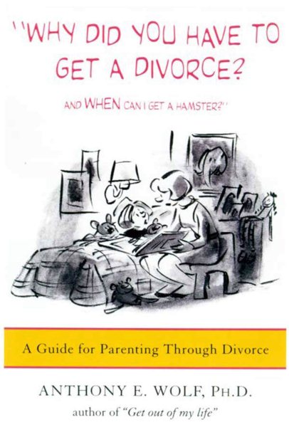 Why Did You Have to Get a Divorce? And When Can I Get a Hamster? cover