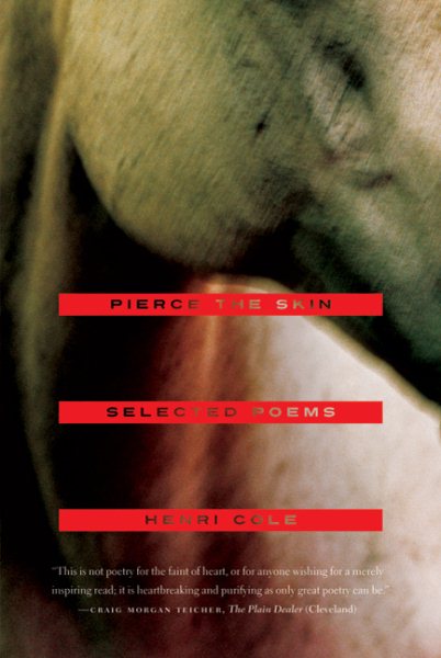 Pierce the Skin: Selected Poems, 1982-2007 cover