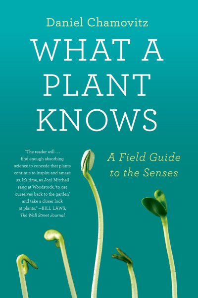 What a Plant Knows: A Field Guide to the Senses cover