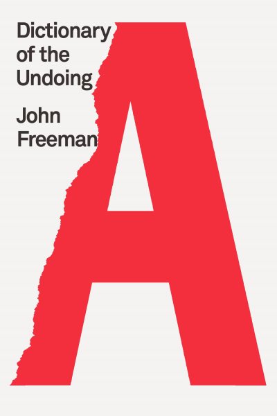 Dictionary of the Undoing cover