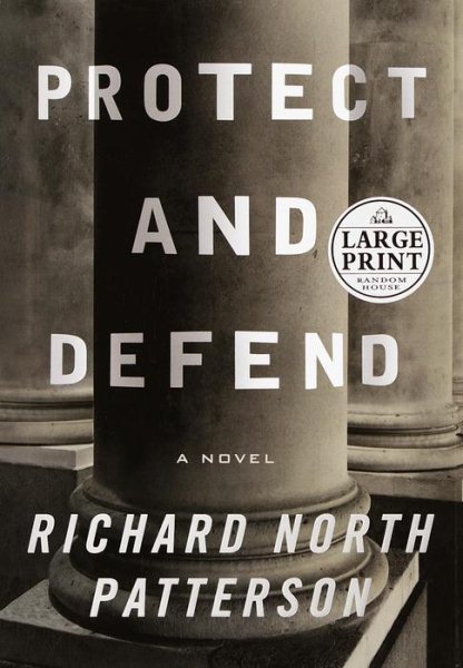 Protect and Defend: A Novel cover