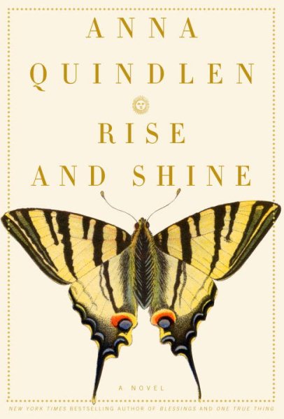 Rise and Shine: A Novel cover