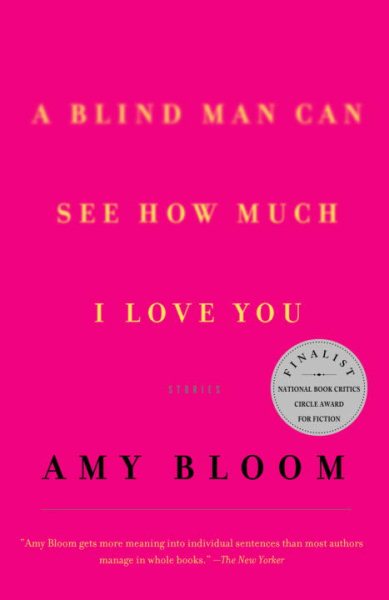 A Blind Man Can See How Much I Love You : Stories cover