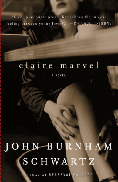 Claire Marvel: A Novel cover